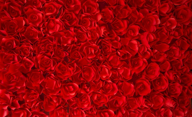 detalles para saber por qué las rosas son tan románticas